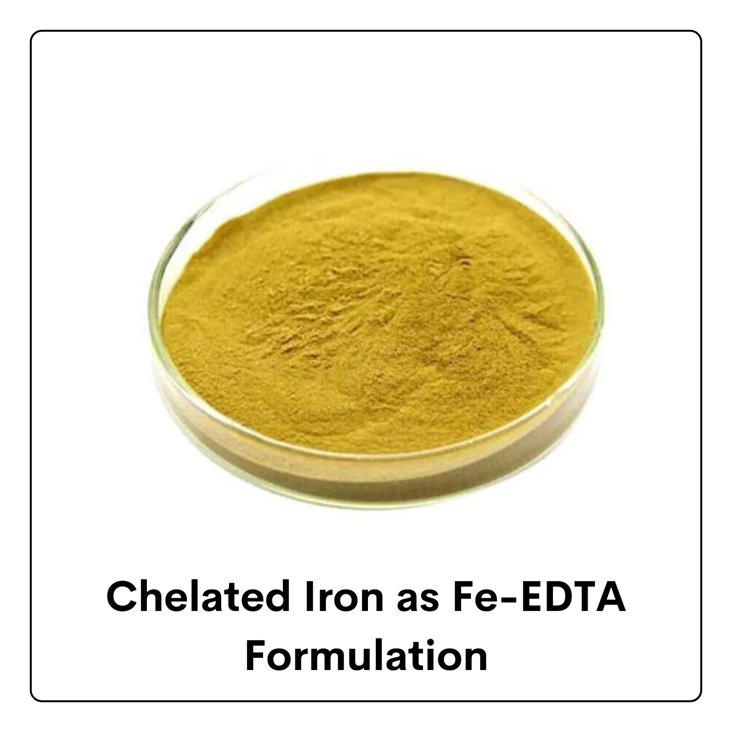 Chelated Iron as Fe-EDTA