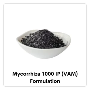 Mycorrhiza 1000 IP
