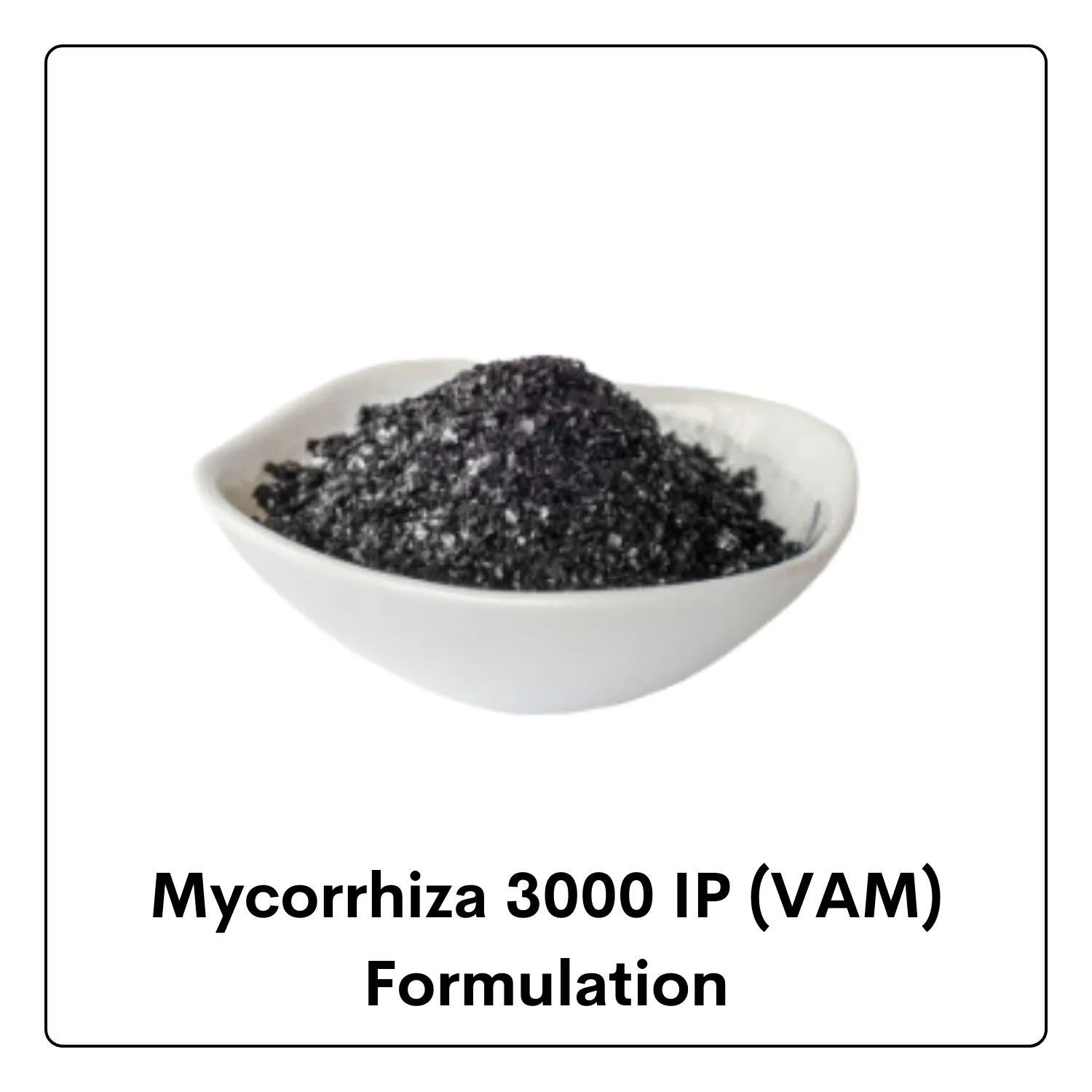 Mycorrhiza 3000 IP (VAM)