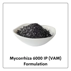 Mycorrhiza 6000 IP (VAM)