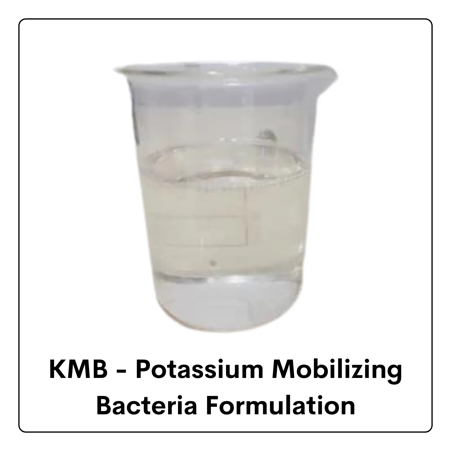 Potassium Mobilizing Bacteria