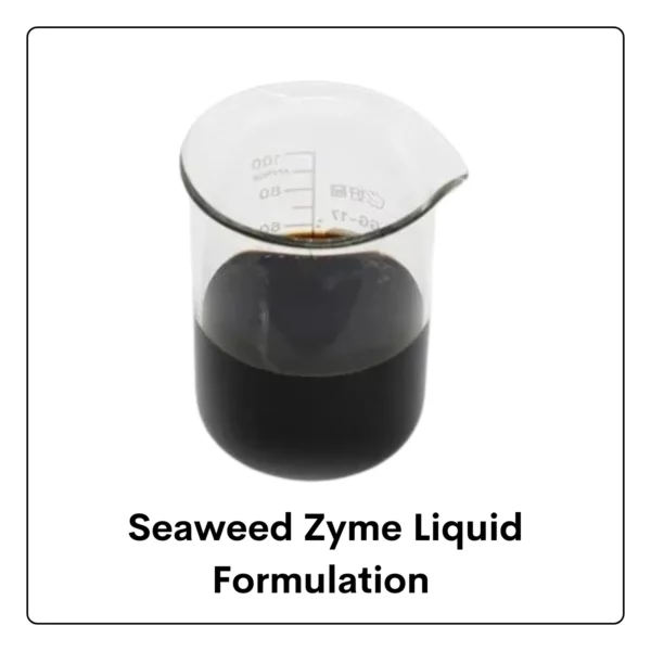 Seaweed Zyme Liquid Formulation