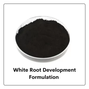 White Root Development