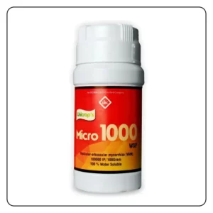Micro-1000