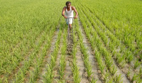 How can farmers grow organic crops with less ..