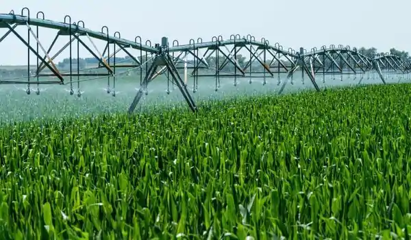 Importance of Water Conservation in Agricultu..