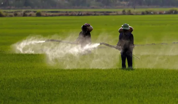 How can farmers protect crops from pests ?