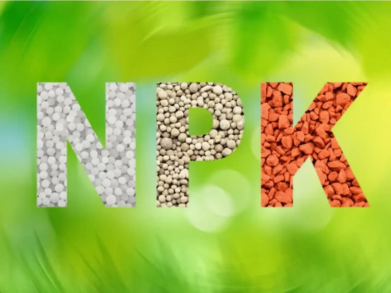 What is the composition of NPK fertilizers?