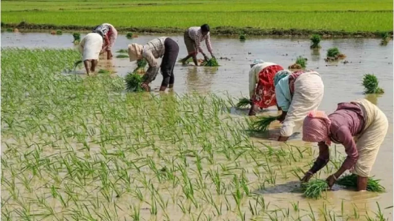 Empowering Consumers: Supporting Sustainable ..