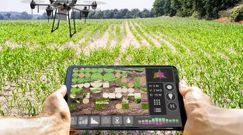 Transformative Innovations: Revolutionizing F..