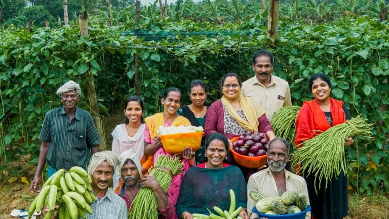 Promoting Community-Supported Agriculture: Su..