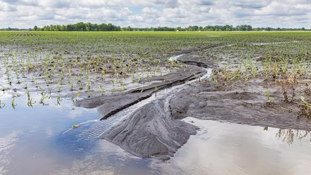 Adapting Farming Strategies to Mitigate Clima..