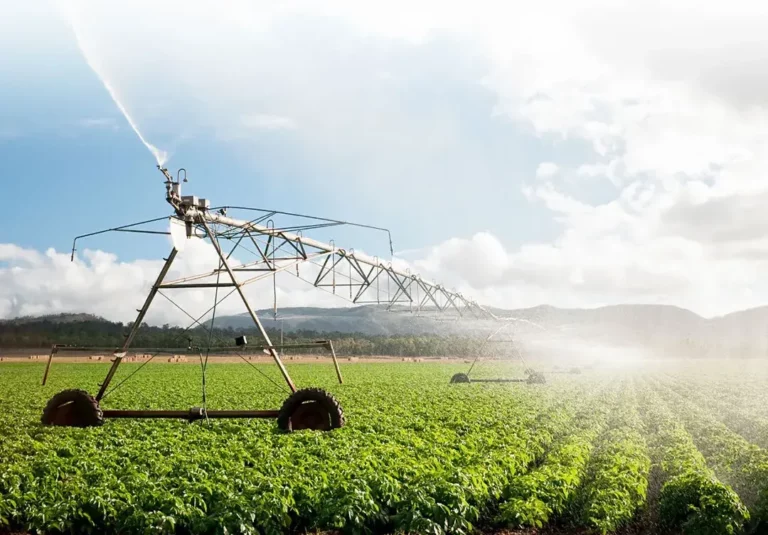 Overcoming Challenges in Adopting Sustainable..
