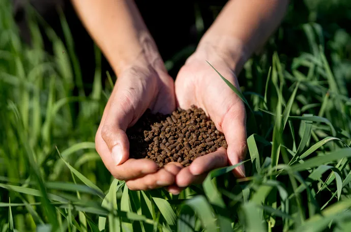 Navigating Fertilizer Regulations: Ensuring C..