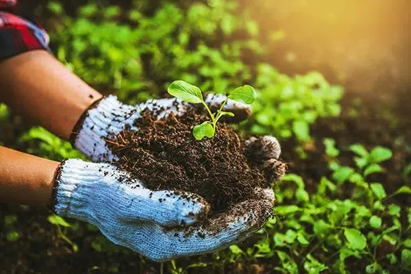Exploring Sustainable Alternatives to Convent..