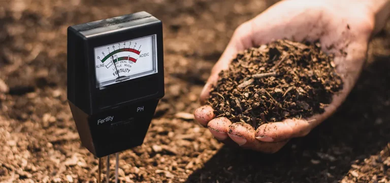 Maximizing Crop Potential: The Role of Soil T..