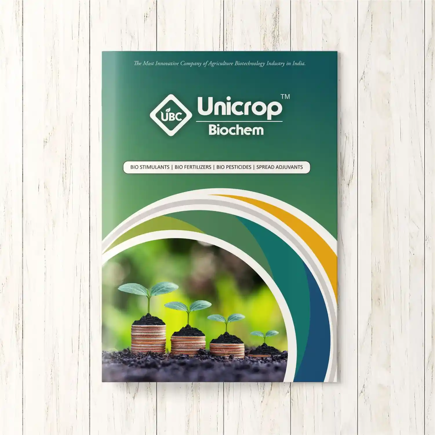 Company Profile