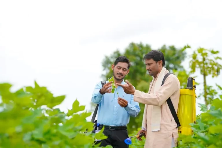 An agronomist advising a farmer in a cotton field