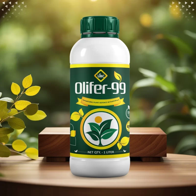 Chitosan Oligosaccharide Organic Fungicide