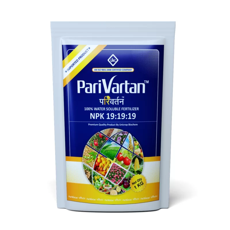 NPK 19:19:19 Water Soluble Fertilizer