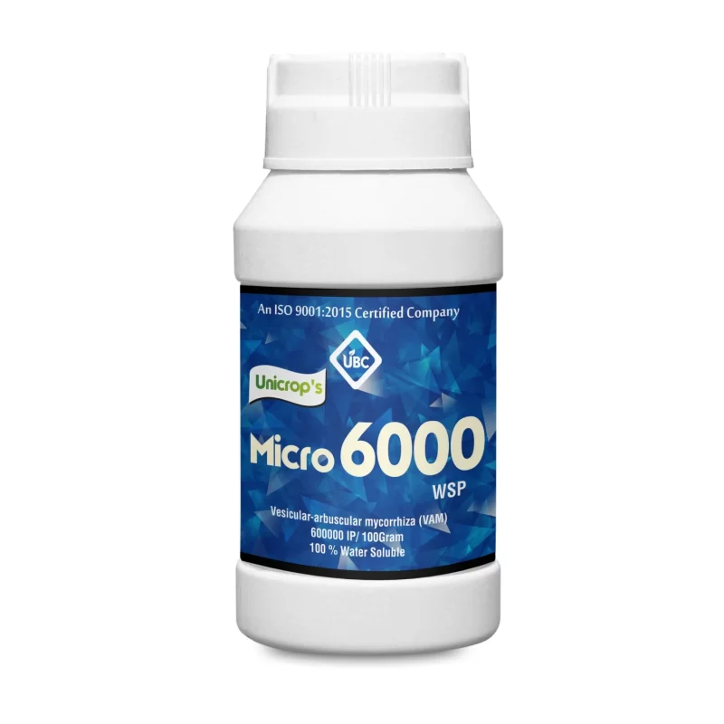 VAM Mycorrhiza 6000 IP Biofertilizer
