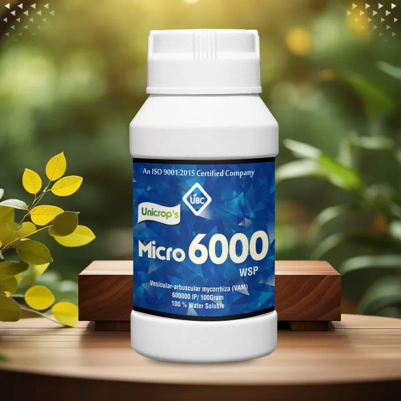 VAM Mycorrhiza 6000 IP Biofertilizer