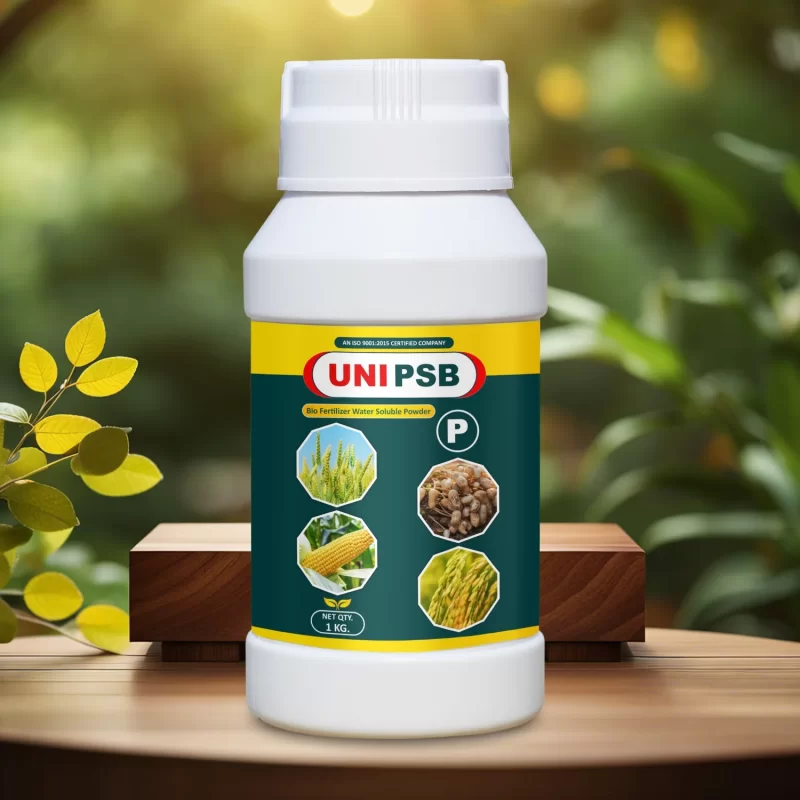 PSB WSP Biofertilizer (Bacillus megaterium)