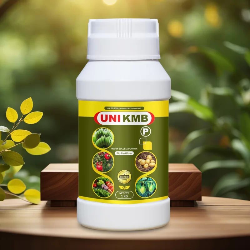 KMB WSP Biofertilizer (Frateuria aurantia)