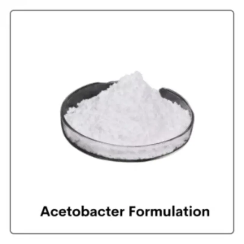 Acetobacter Biofertilizer