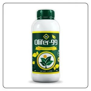 Olifer-99