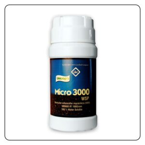 Micro-3000