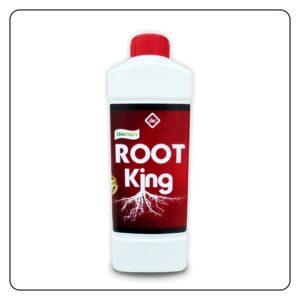 Root KIng