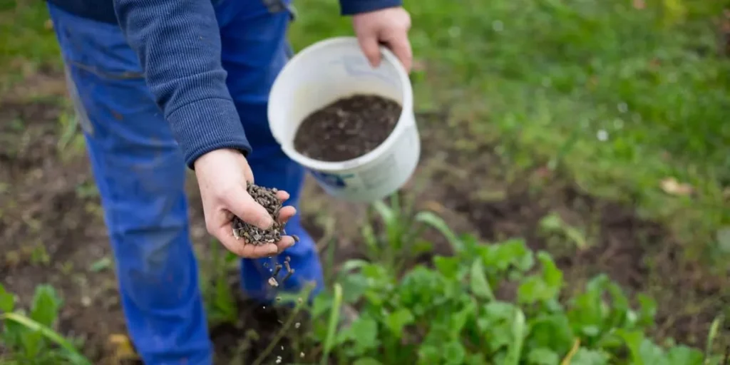 Slow-Release Fertilizers