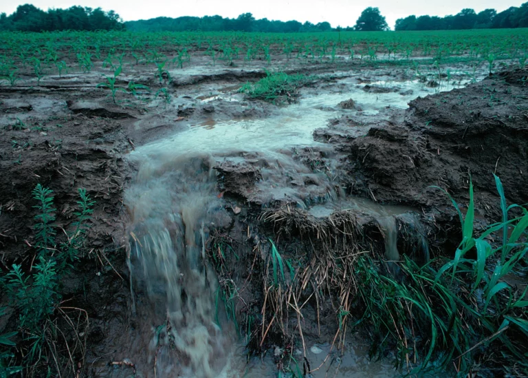 Nutrient Runoff