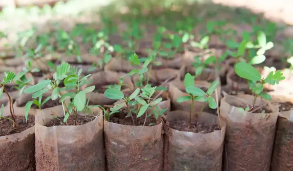 Soil Erosion Control