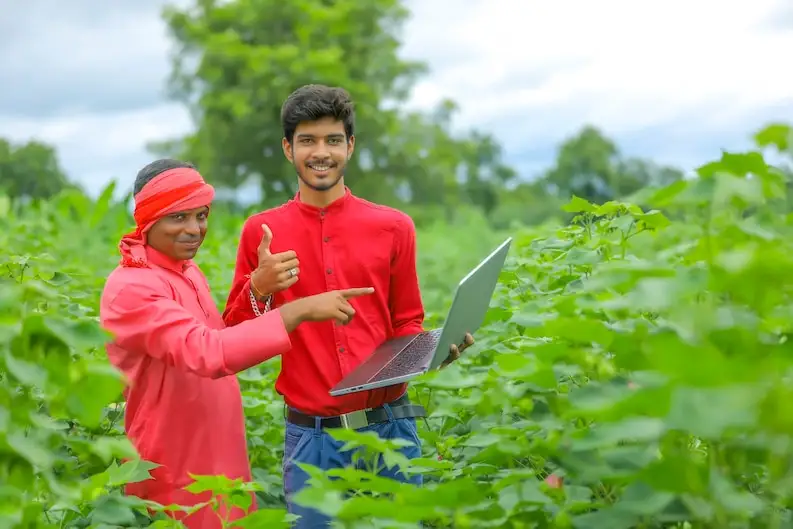 Crop Yield