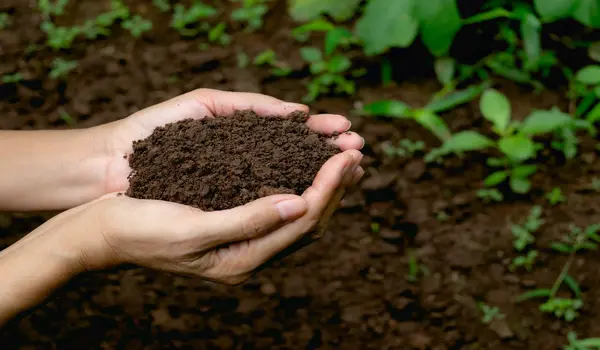 benefits of Azoto-N Biofertilizer